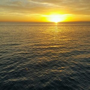 Meet your Posher, Lili